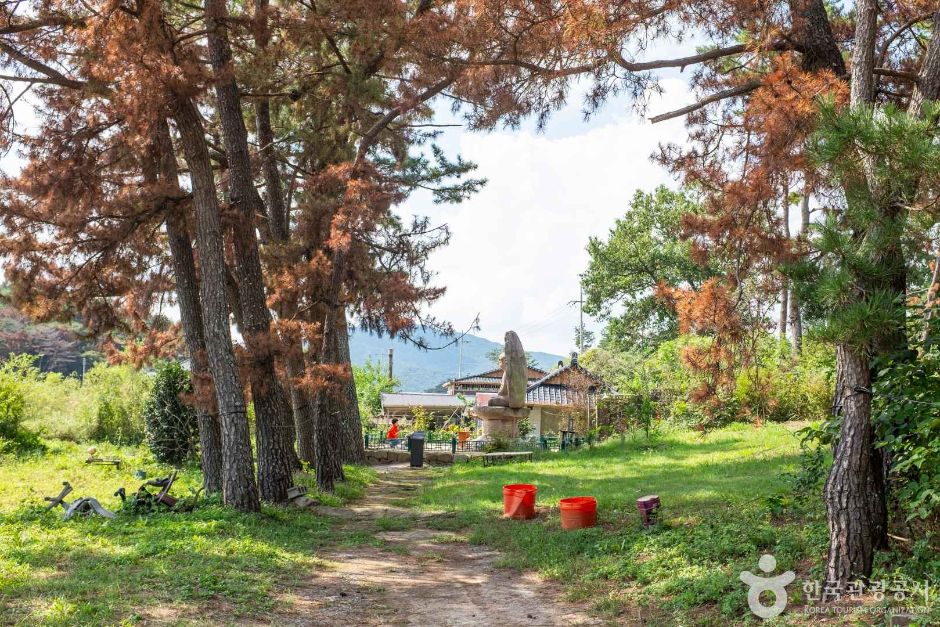 경주_영지석불좌상 (3)