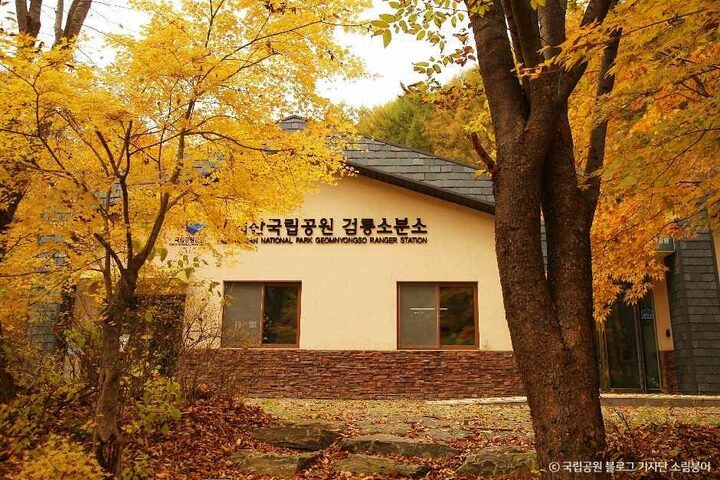 태백_검룡소 (1).jpg