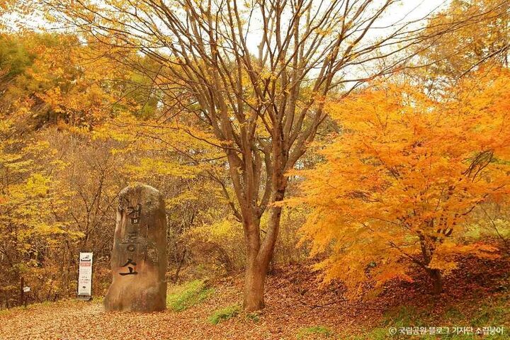 태백_검룡소 (2).jpg