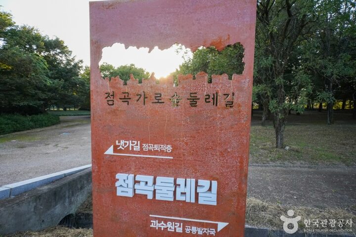 경북_의성_의성 사촌리 가로숲_11_e