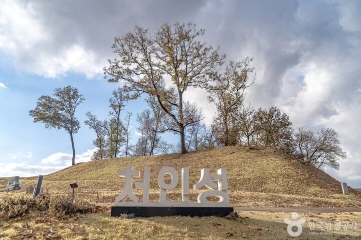 처인성 (15)