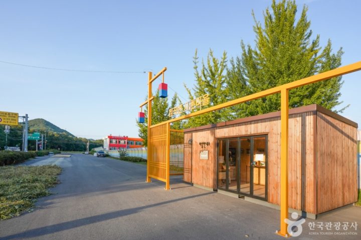 경북_의성_의성 사촌리 가로숲_12_e