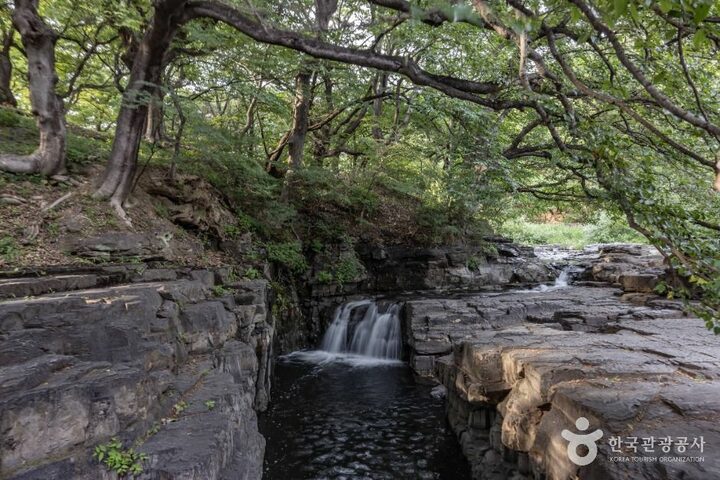 경주_옥산서원(경주) (6)