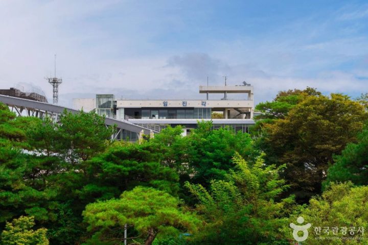 DMZ 평화의 길 8코스 (예약노선)