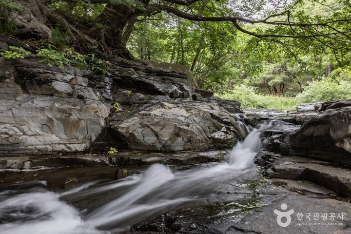 경주_옥산서원(경주) (7)