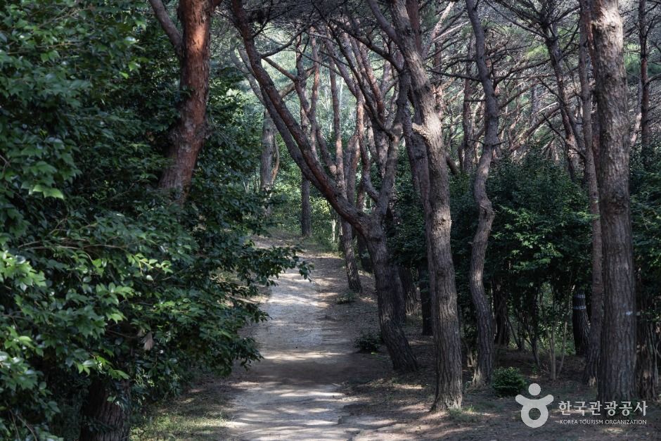 남해_남해 관음포 이충무공 유적 (6)