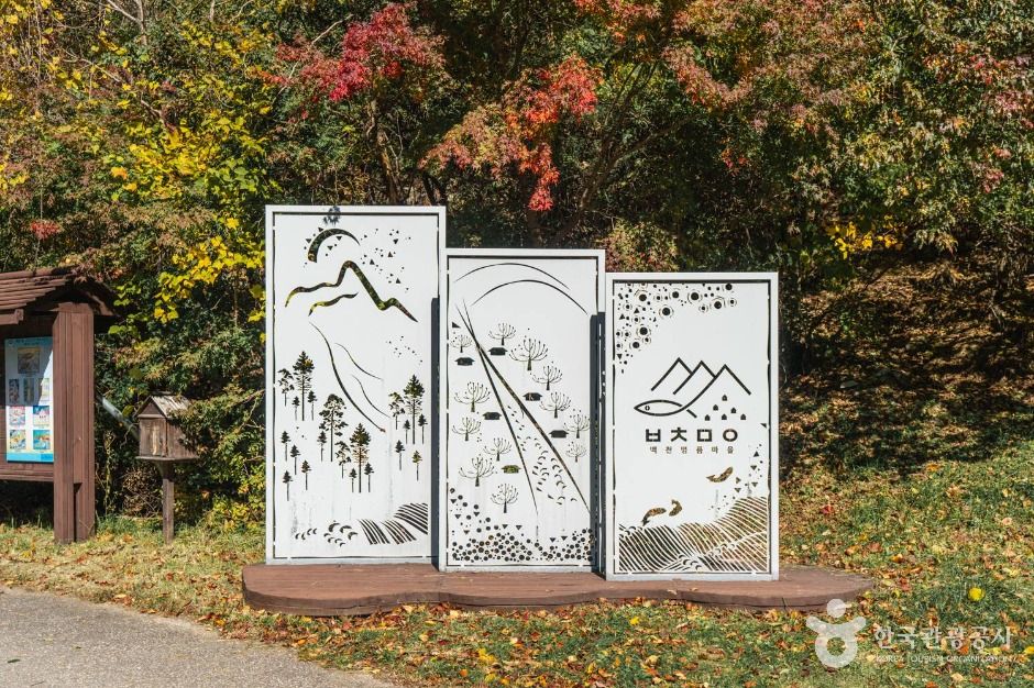 봉화_봉화 대현리 열목어 서식지 (7)