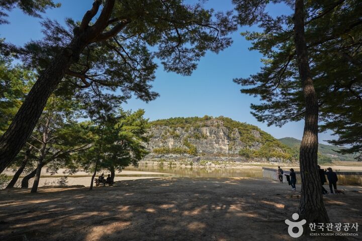 만송정 숲 (6)