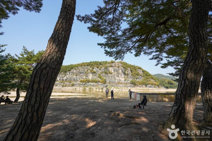 만송정 숲 (7)