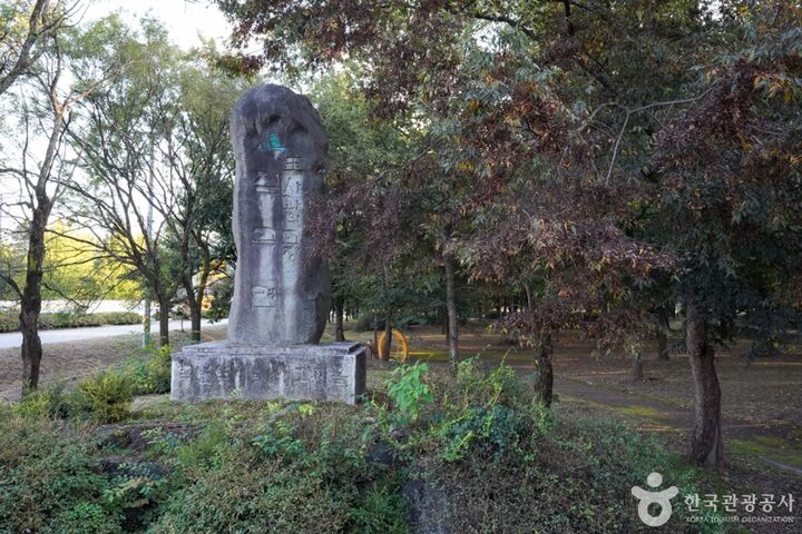 경북_의성_의성 사촌리 가로숲_17_e