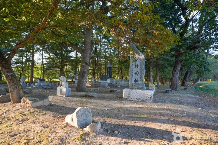 경북_의성_의성 사촌리 가로숲_18_e