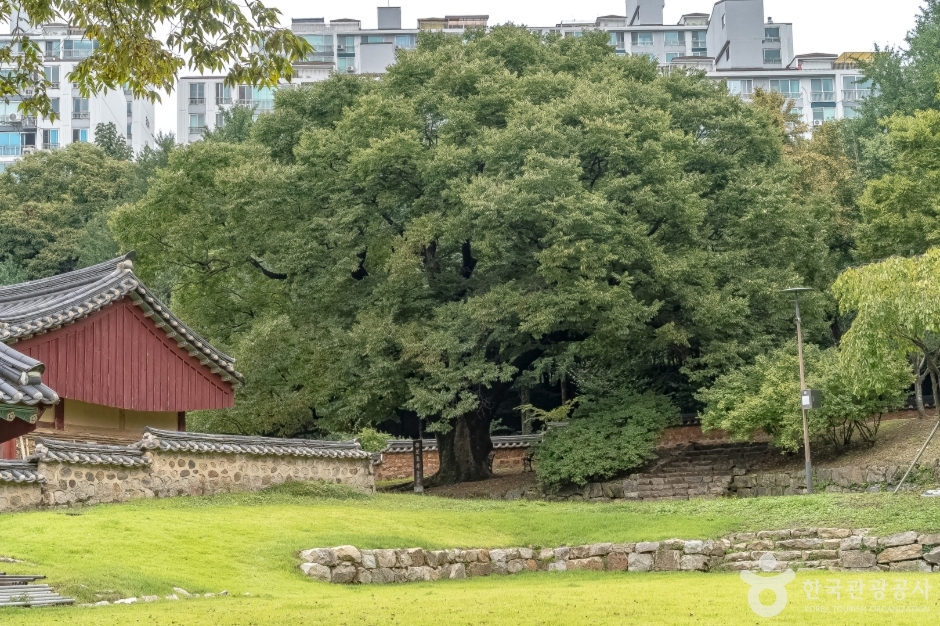 심곡서원 (8)