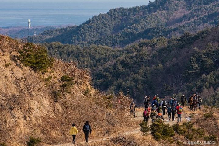 바우길 4구간
