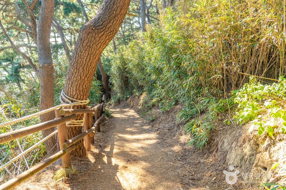 울진_죽변등대 (5)
