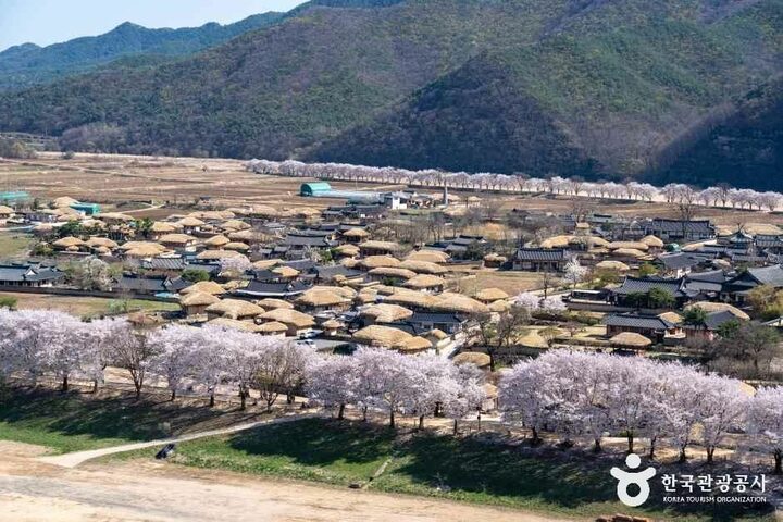 경북_안동_하회마을_외부_01.jpg