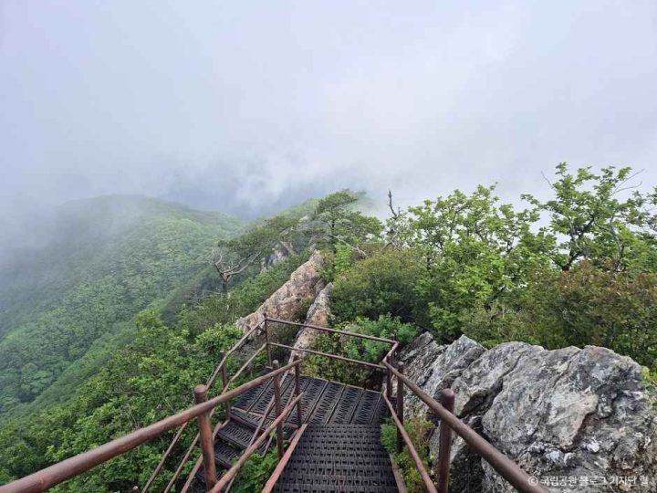 금수산