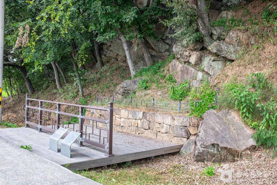 고령_고령안화리암각화 (2)
