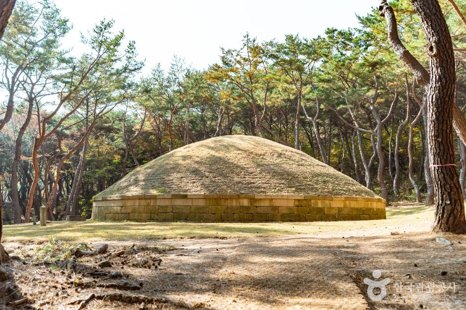 경주_경주 정강왕릉 (3)