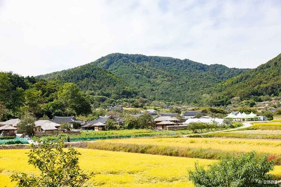 고성_고성 왕곡마을 (6)