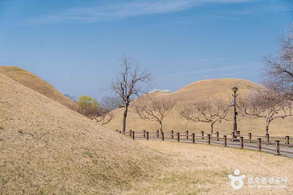 경북_경주_경주 대릉원 일원_외부_1.jpg