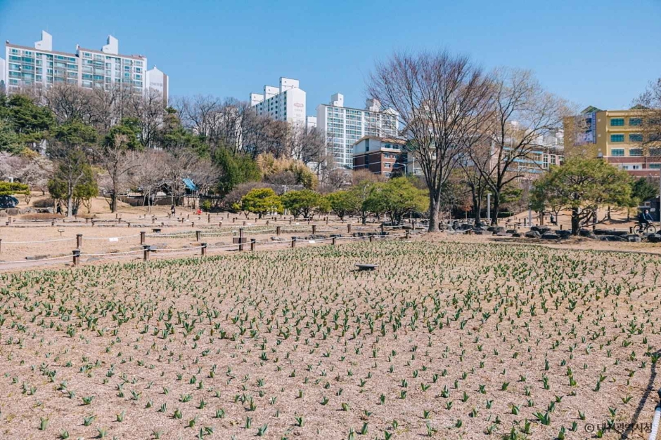 대전 회덕 동춘당 (9)