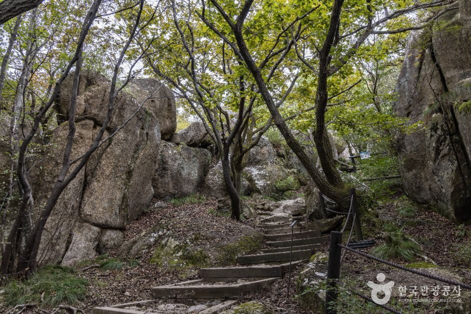 남해_금산(남해) (4)
