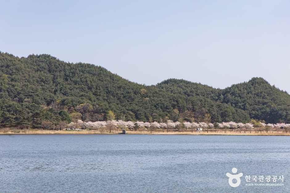 강원_고성_화진포_외부_3.jpg