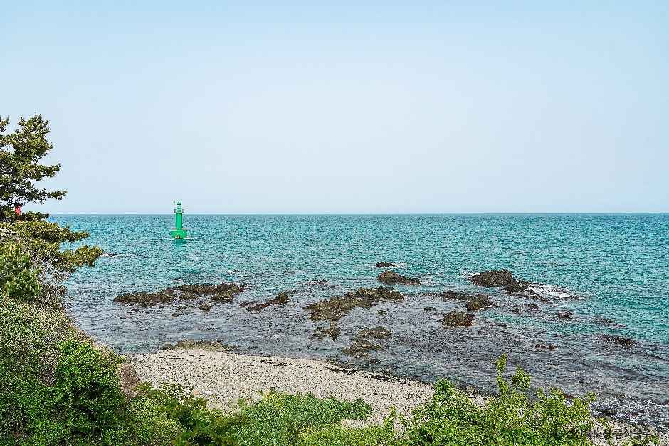 경주_경주 양남 주상절리군 (1).jpg
