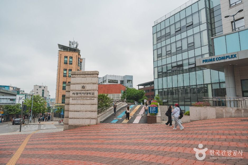 서울_숙명여자대학교 정영양자수박물관 (6)