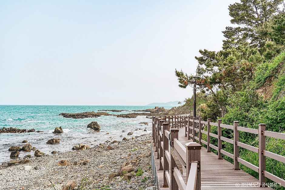 경주_경주 양남 주상절리군 (4).jpg