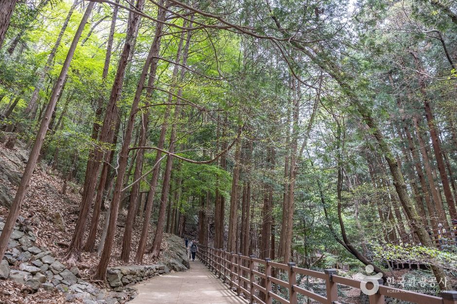 부산_성지곡수원지 (11)