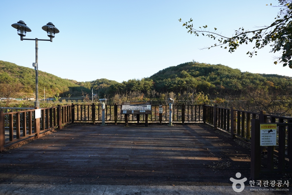 경남_진주_진주 유수리 백악기화석 산지 (8)