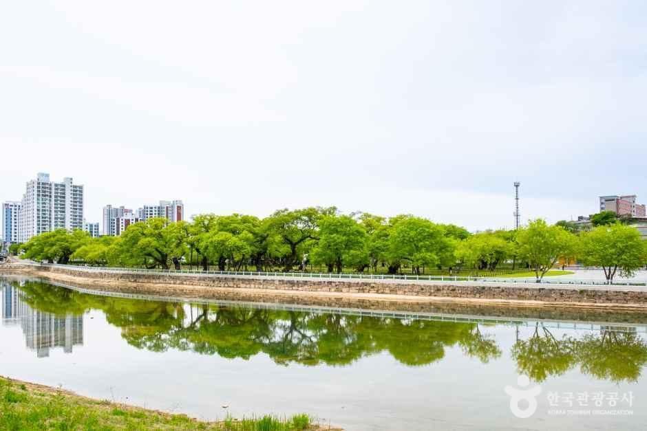 경북_성주_성주 경산리 성밖숲_외부_5.jpg
