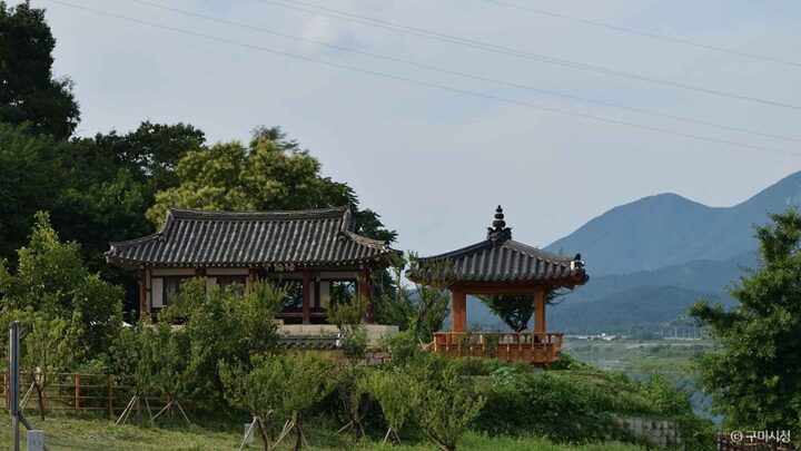 경북_구미_매학정일원 (3)