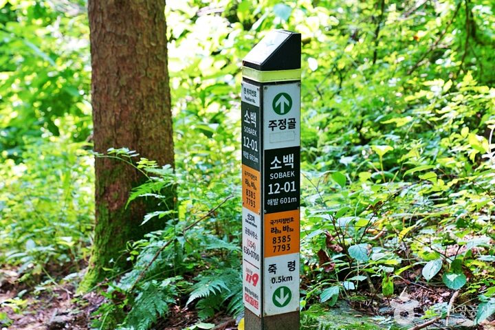죽령옛길 (3)