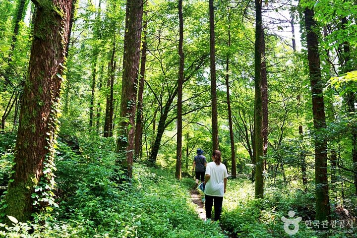 죽령옛길 (2)