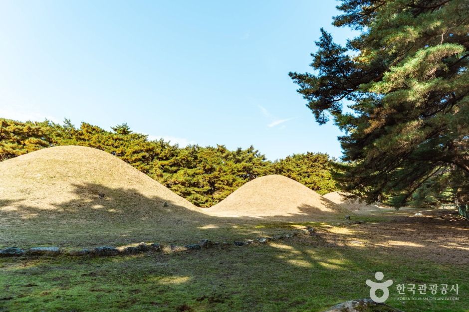 경주_경주 배동 삼릉 (3)