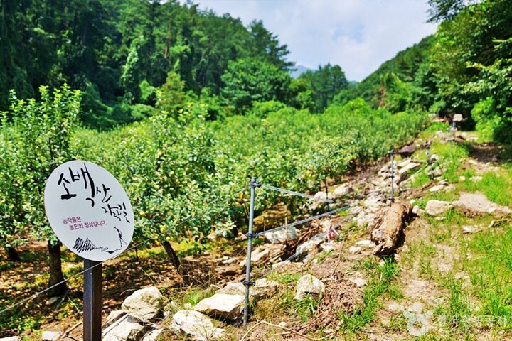 죽령옛길 (8)