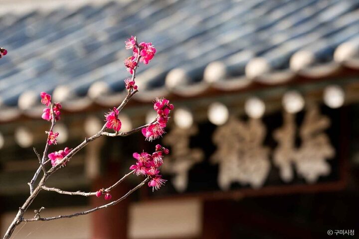 경북_구미_매학정일원 (9)