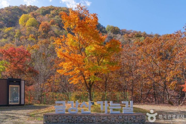 DMZ 평화의 길 26코스 (예약노선)
