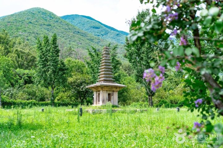 경주_경주 정혜사지 십삼층석탑 (1)