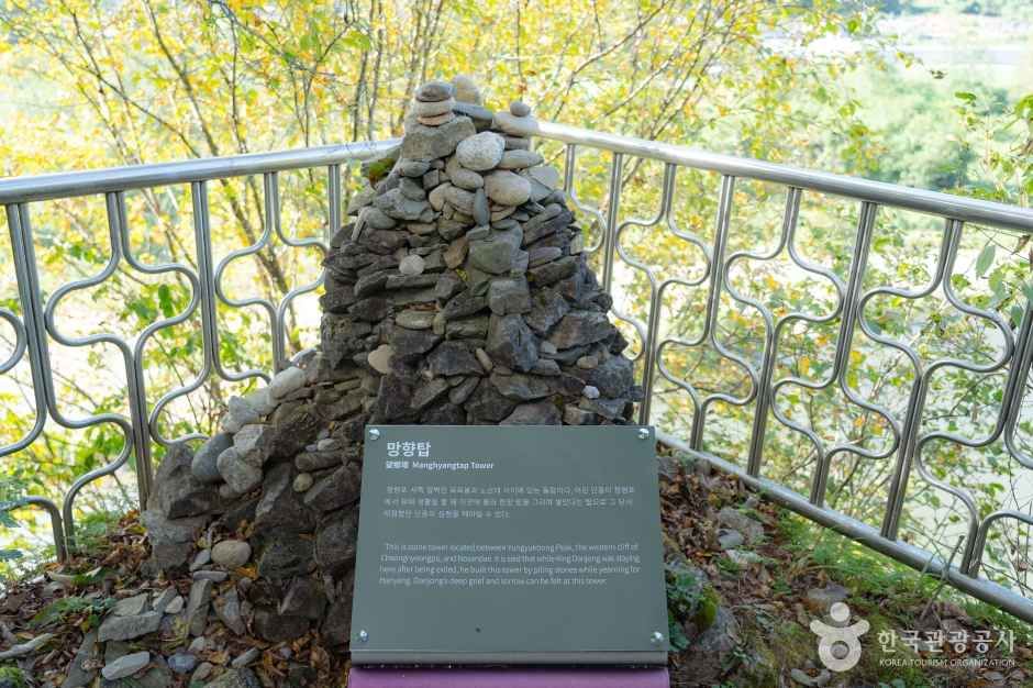 청령포 (3)
