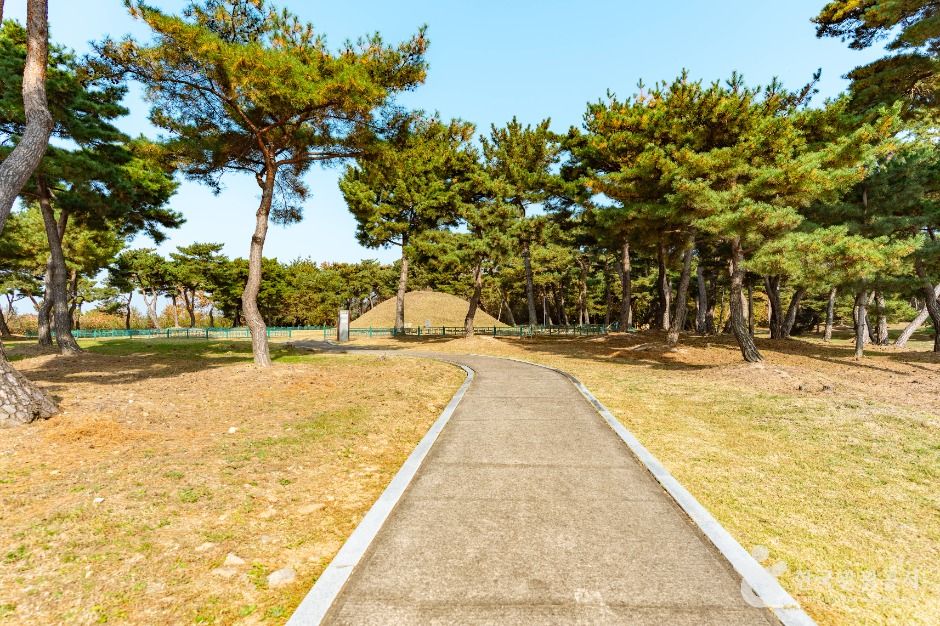 경주_경주 효소왕릉 (2)