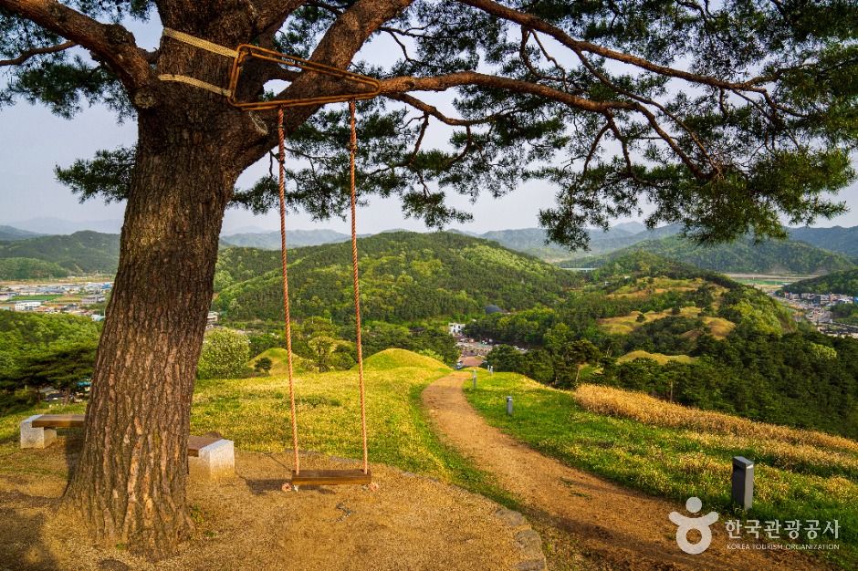 고령 지산동 고분군