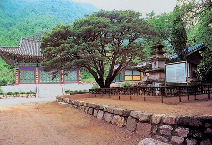 양평용천리삼층석탑전경