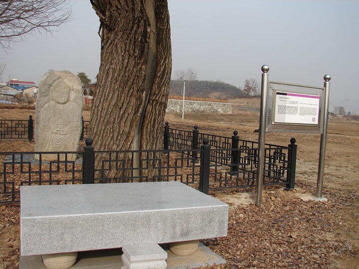안성죽리석조여래입상(전경)