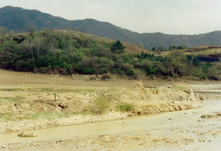 근경
