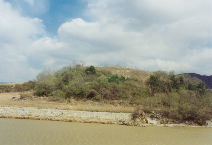 근경