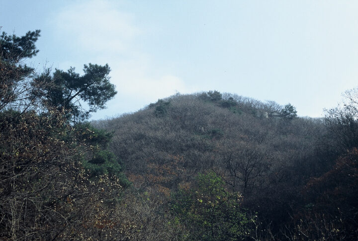 성거산(해발 579.1m) 정상부에 쌓은 테뫼식 산성으로 둘에는 약 550m이다. 처음에는 흙으로 쌓은 성이었으나 뒤에 돌로 보완한 것으로 보인다. 이 산성을 백제시대 때 쌓은 위례성의 익성(翼城)으로 추정하여 삼국시대에 쌓은 성으로 보기도 한다. 혹은 조선시대 임진왜란 때 목천과 직산현의 백성을 보호하기 위하여 쌓았다고 전하나 정확한 축성 연대는 알 수 없다.