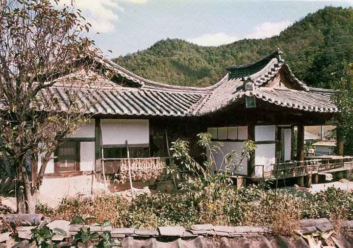 오류정종택후면